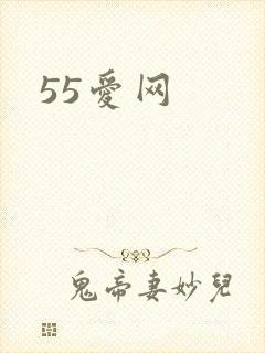 55爱网