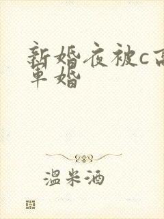 新婚夜被c高h军婚