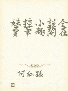 妹控小说全文免费笔趣阁在线阅读