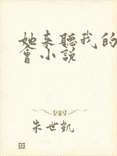 她来听我的演唱会小说