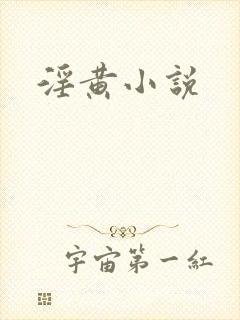 淫黄小说