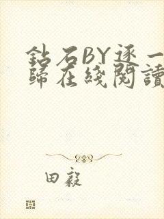 钻石BY逐一而归在线阅读