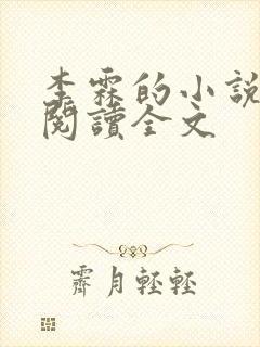 李霖的小说免费阅读全文