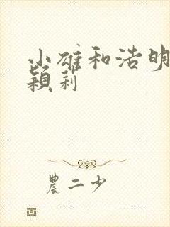 小雄和浩明夹击颖莉封面