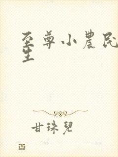 至尊小农民王木生