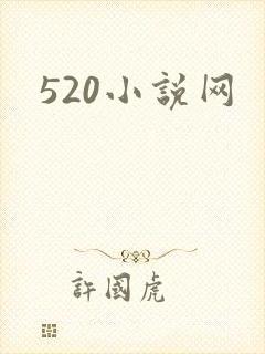520小说网