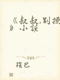 《叔叔,别撩我》小说