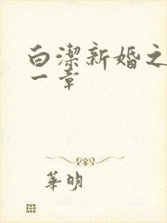 白洁新婚之夜第一章