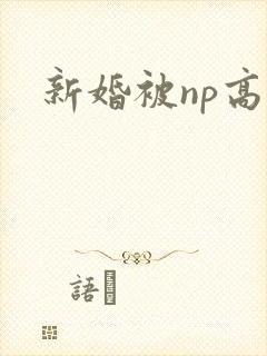 新婚被np高h