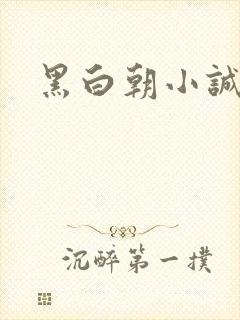 黑白朝小诚