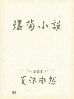 爆菊小说