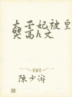 太子妃被皇上c哭高h文