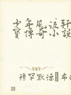 少年风流轩辕大宝传奇小说