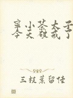 宁小茶太子殿下今天破戒了吗免费阅读