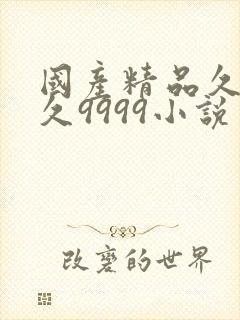 国产精品久久久久9999小说