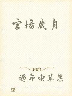 官场岁月