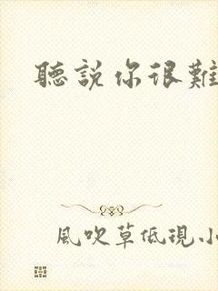 《听说你很难追》小说封面