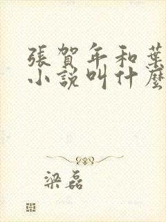 张贺年和叶繁姿小说叫什么名字