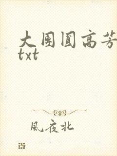 大团圆高芳小说txt