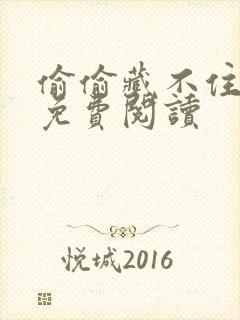 偷偷藏不住小说免费阅读