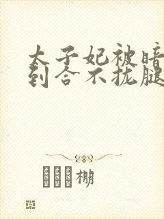 太子妃被暗卫C到合不拢腿