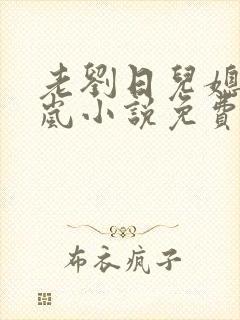 老刘日儿媳妇张岚小说免费阅读