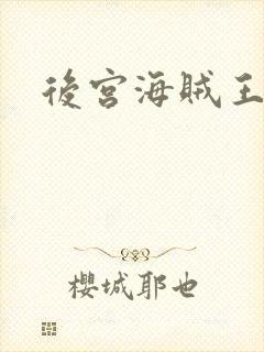 后宫海贼王