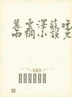 慕云泽苏晚晴夏雨桐小说免费阅读封面