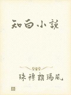 知白小说