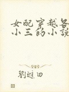 女配穿越各个做小三的小说