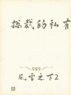 总裁的私有宝贝