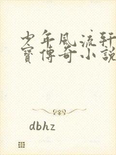 少年风流轩辕大宝传奇小说