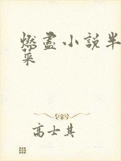 燃尽小说半截白菜