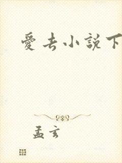 爱去小说下载网