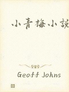 小青梅小说