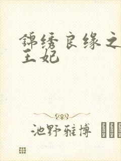 锦绣良缘之北地王妃