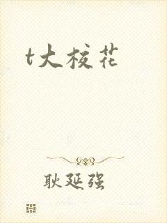 t大校花