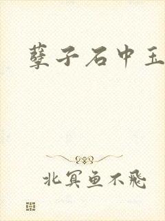 孽子石中玉