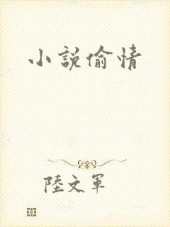 小说偷情