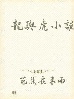 龙与虎小说