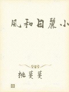 风和日丽小说