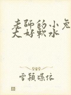 老师的小兔子好大好软水