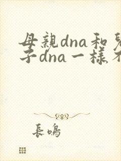 母亲dna和儿子dna一样不