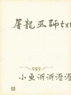 屠龙巫师txt