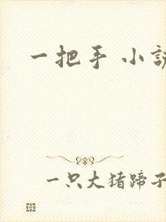 一把手 小说封面