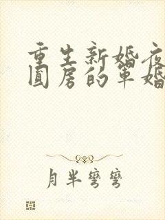 重生新婚夜正在圆房的军婚