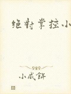 绝对掌控小说