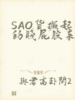 SAO货撅起你的贱屁股来封面