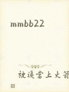 mmbb22
