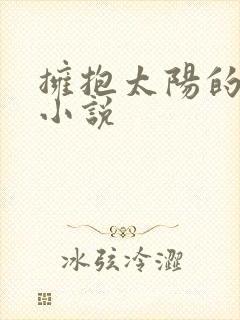 拥抱太阳的月亮小说